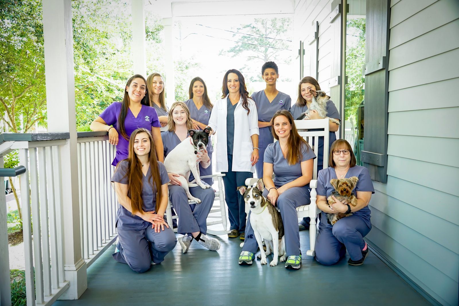 HighQuality Vet Hospital in Mandeville, LA Mandeville Animal Hospital